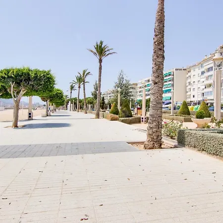 Altaia Altea